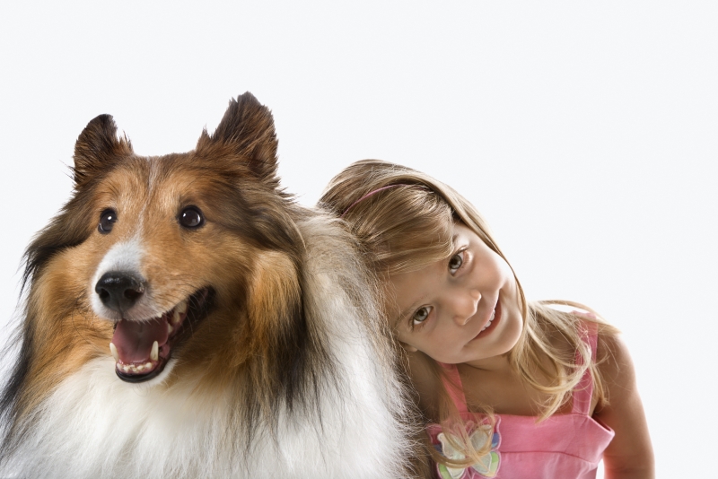 -girl-child-with-collie-dog